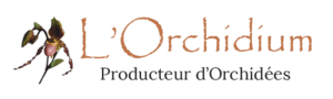 logo orchidium