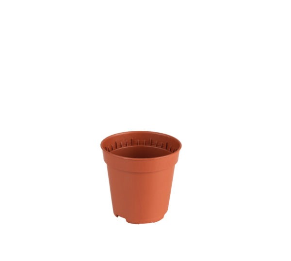 Pot opaque 5.5 cm