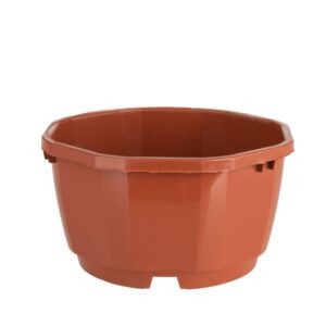 Coupe 12 cm