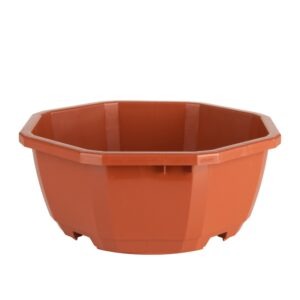 Coupe 16 cm