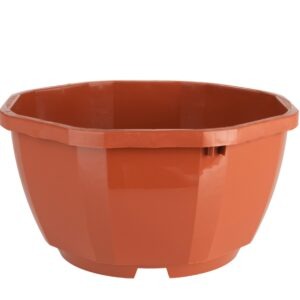 Coupe 18 cm