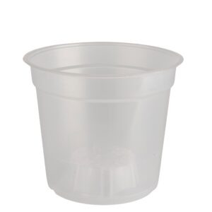 Pot transparent 15 cm